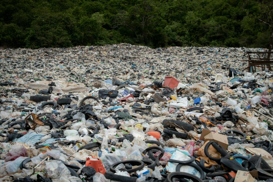 Foto di quella che sembrerebbe una discarica a cielo aperto, nella quale si trovano vari tipi di spazzatura da buste di plastica a pneumatici e altro